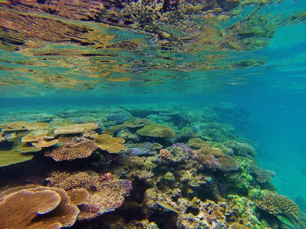 Mai Dive' Astrolabe Reef Resort Naqara Exterior foto